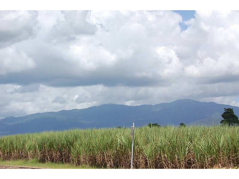 Lot 7,  Silkwood – Japoon Rd., Innisfail QLD 4860
