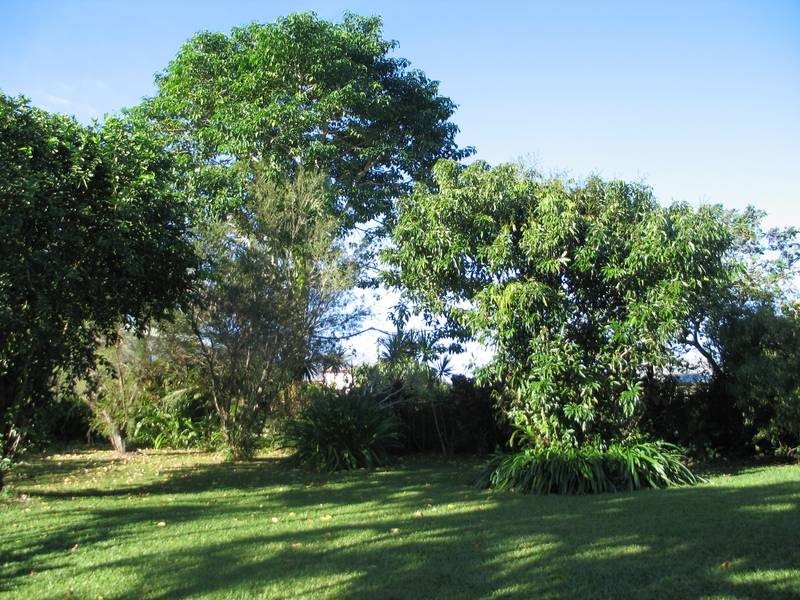 3 Breen Street, Innisfail QLD 4860