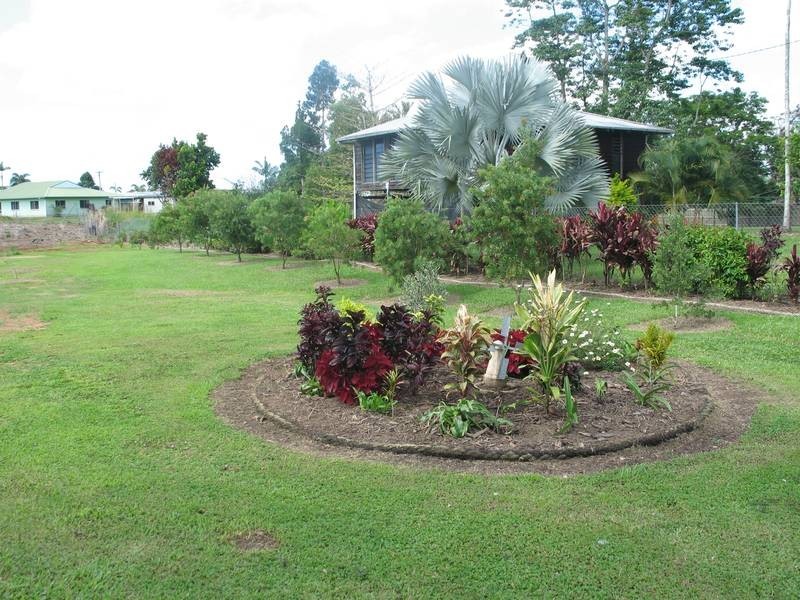 40 Jodrell St, Innisfail QLD 4860