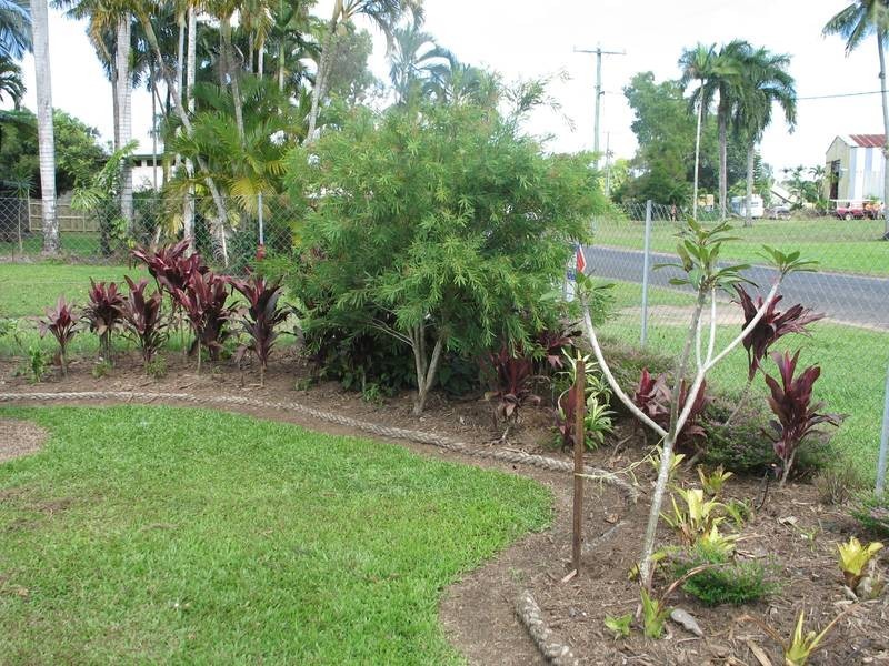 40 Jodrell St, Innisfail QLD 4860