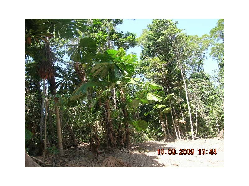 28 Waterfall Place, Innisfail QLD 4860