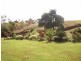 40 PULLOM ROAD, East Palmerston QLD 4860