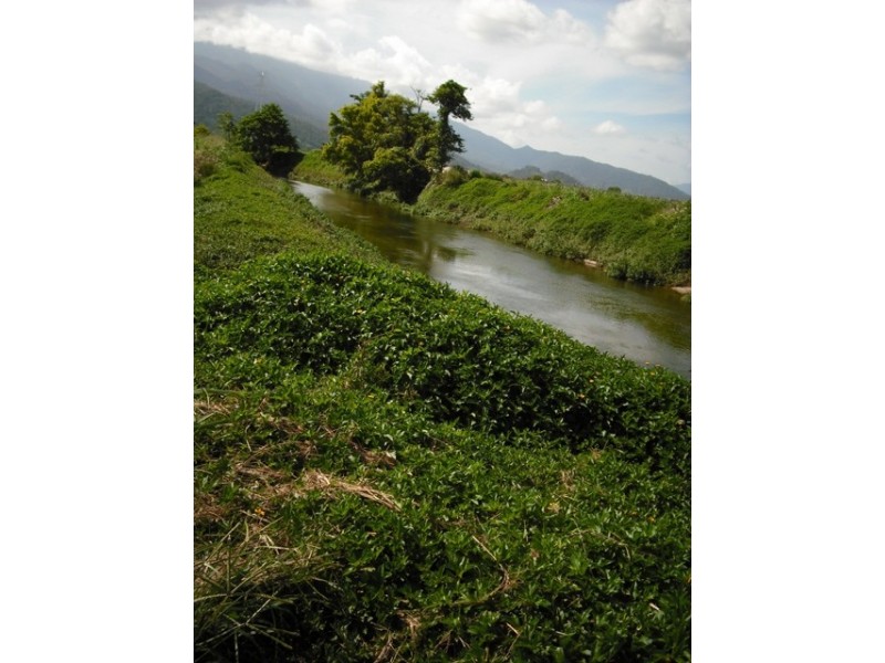 Gerbanos, Babinda QLD 4861