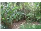 Woopen Creek QLD 4871