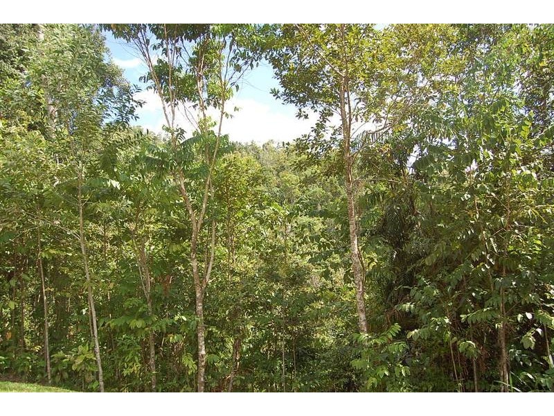 Woopen Creek QLD 4871