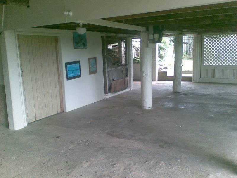 36 angus, Babinda QLD 4861