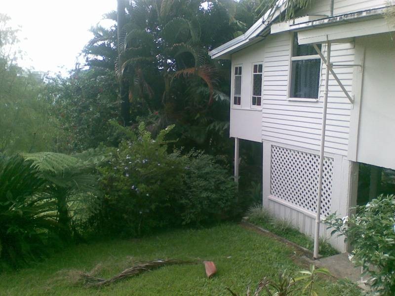 36 angus, Babinda QLD 4861