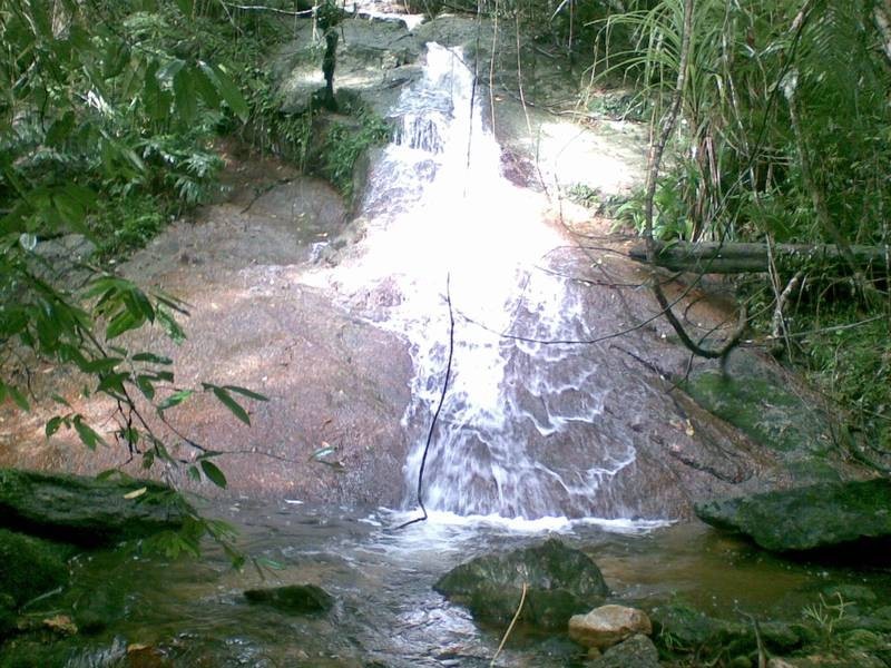 Bruce Highway, Deeral QLD 4871