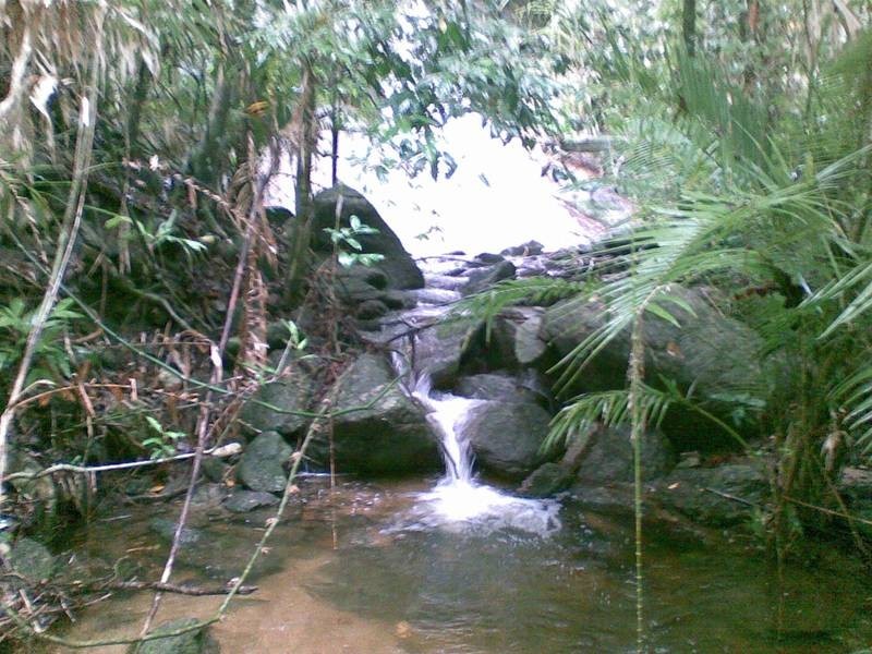 Bruce Highway, Deeral QLD 4871