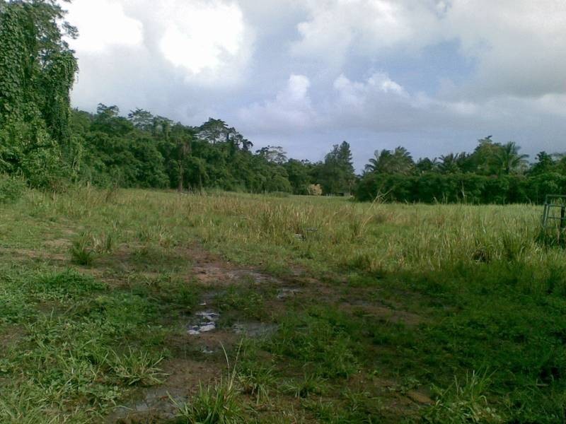 Bruce Highway, Babinda QLD 4861