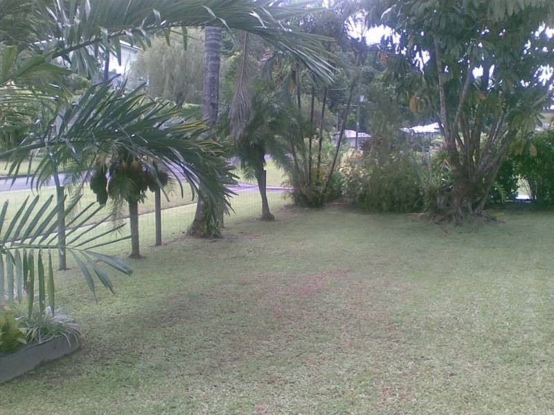 43 Jago Street, Babinda QLD 4861