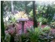 Babinda QLD 4861