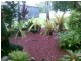 Babinda QLD 4861