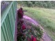 180 Dinner Creek Rd, Garradunga QLD 4860