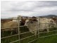Mena Creek QLD 4871