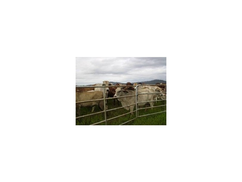 Mena Creek QLD 4871