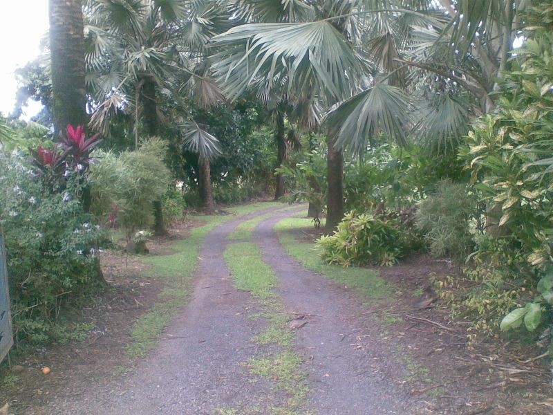 Babinda QLD 4861