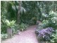 Babinda QLD 4861