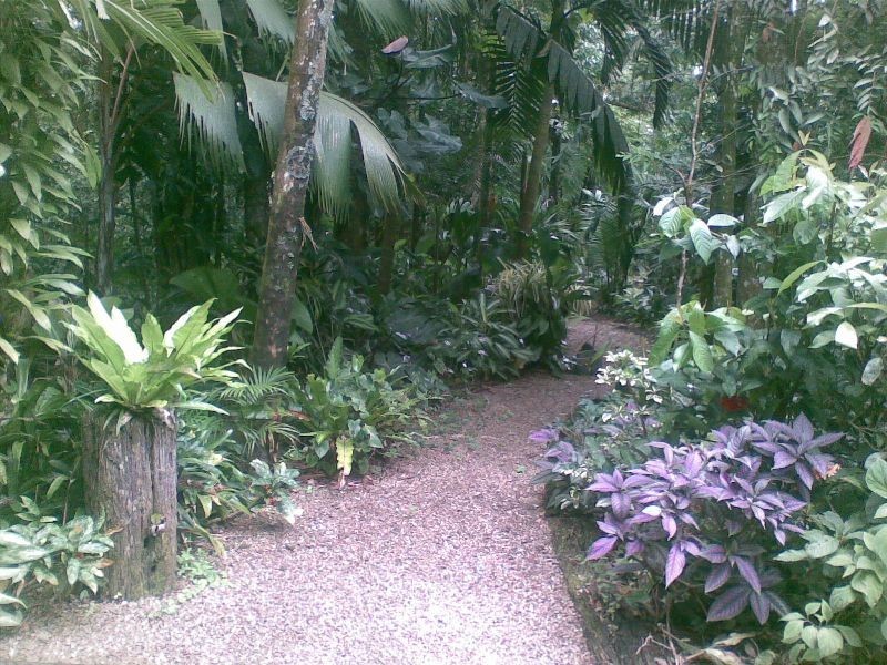Babinda QLD 4861