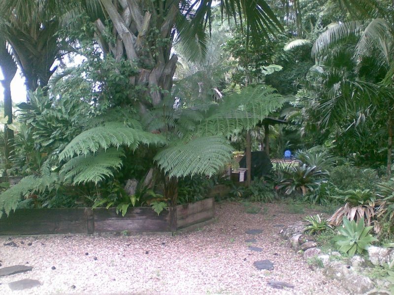 Babinda QLD 4861