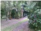 Babinda QLD 4861