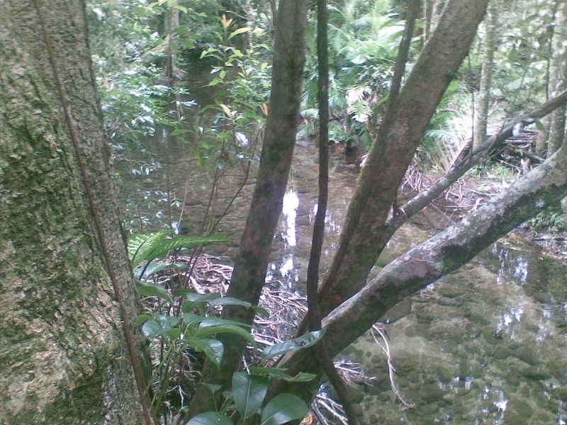 Babinda QLD 4861
