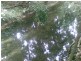 Babinda QLD 4861