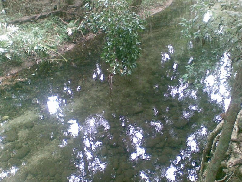 Babinda QLD 4861