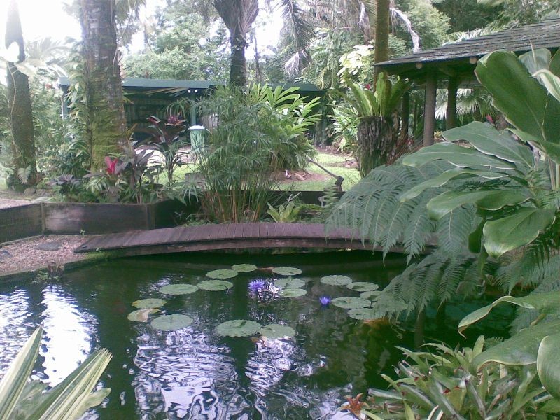 Babinda QLD 4861