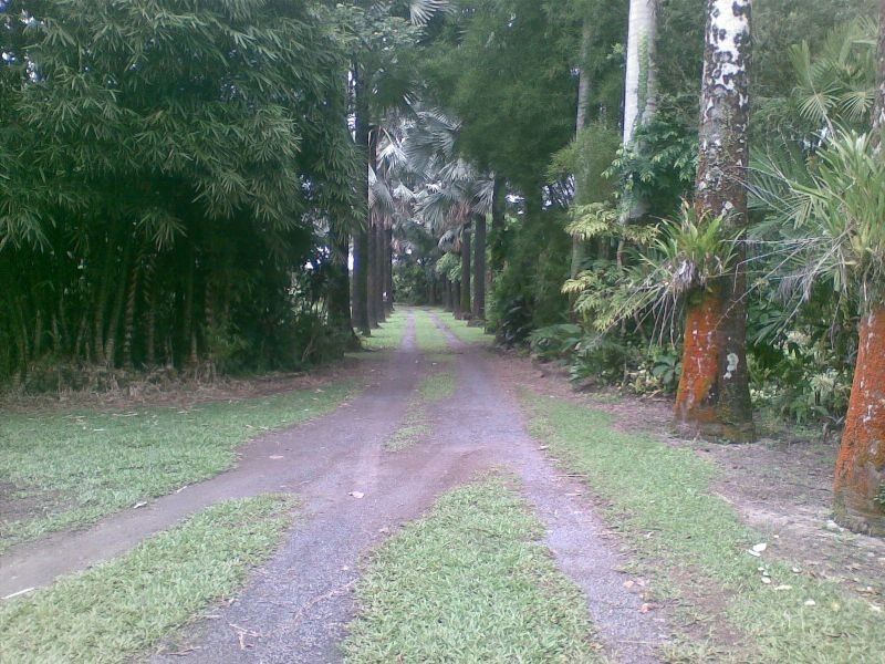 Babinda QLD 4861