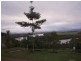 Bamboo Creek QLD 4860