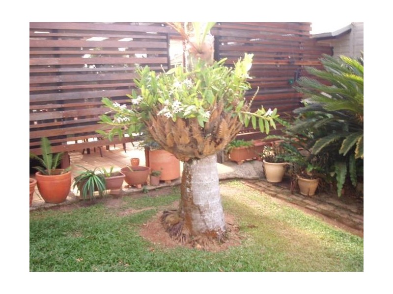 4 Bartle street, East Innisfail QLD 4860