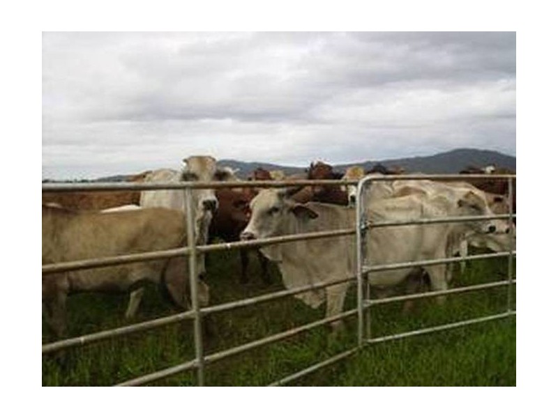 Mena Creek QLD 4871