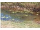 Innisfail QLD 4860