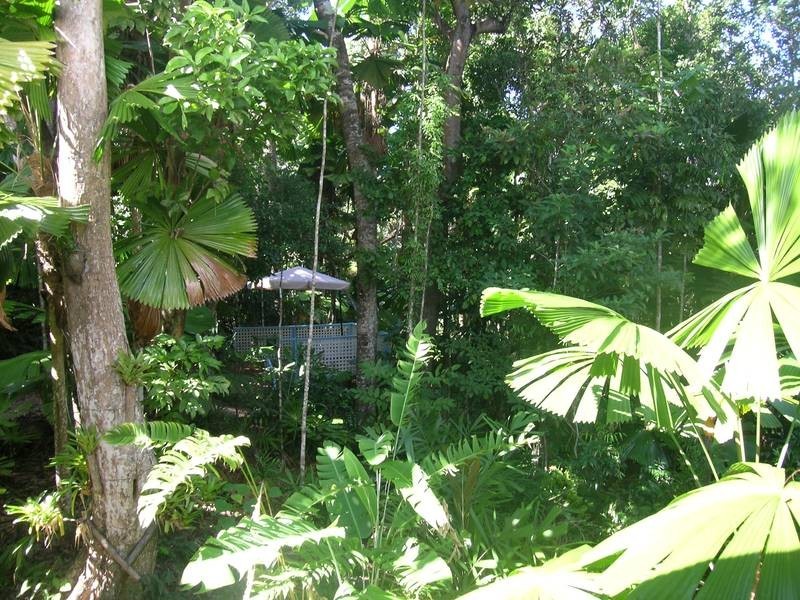 98 Greendale Court, Innisfail QLD 4860