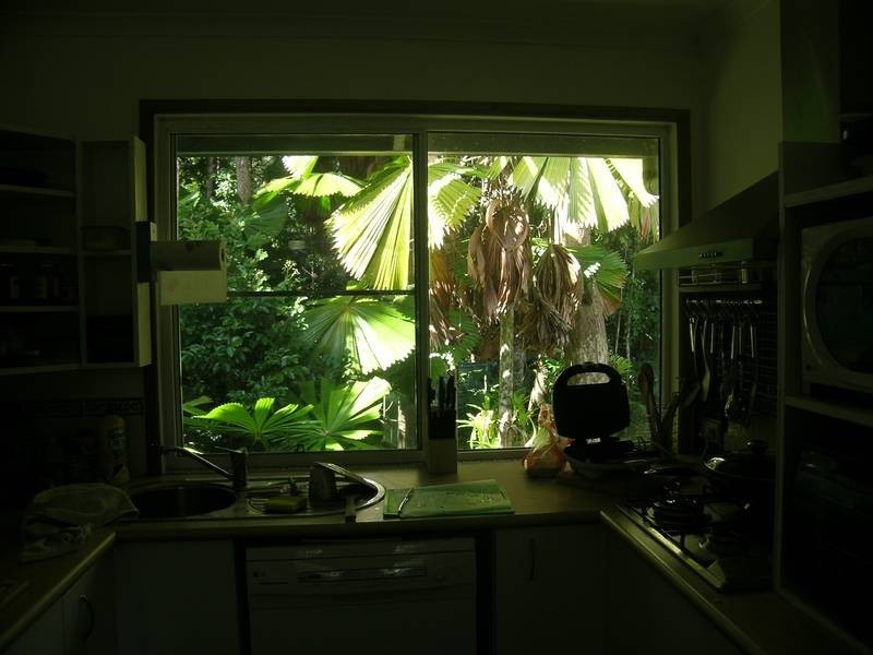 98 Greendale Court, Innisfail QLD 4860