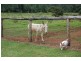 Mena Creek QLD 4871