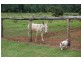 lot 0 Euanbah Road, Innisfail QLD 4860