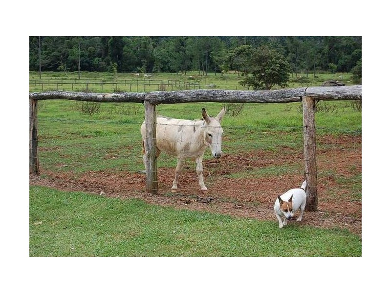 lot 0 Euanbah Road, Innisfail QLD 4860