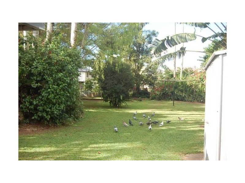 67 Glady Street, Innisfail QLD 4860