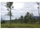 Mena Creek QLD 4871