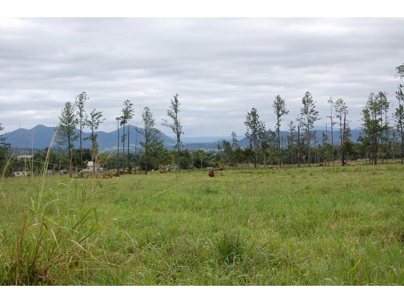 Mena Creek QLD 4871