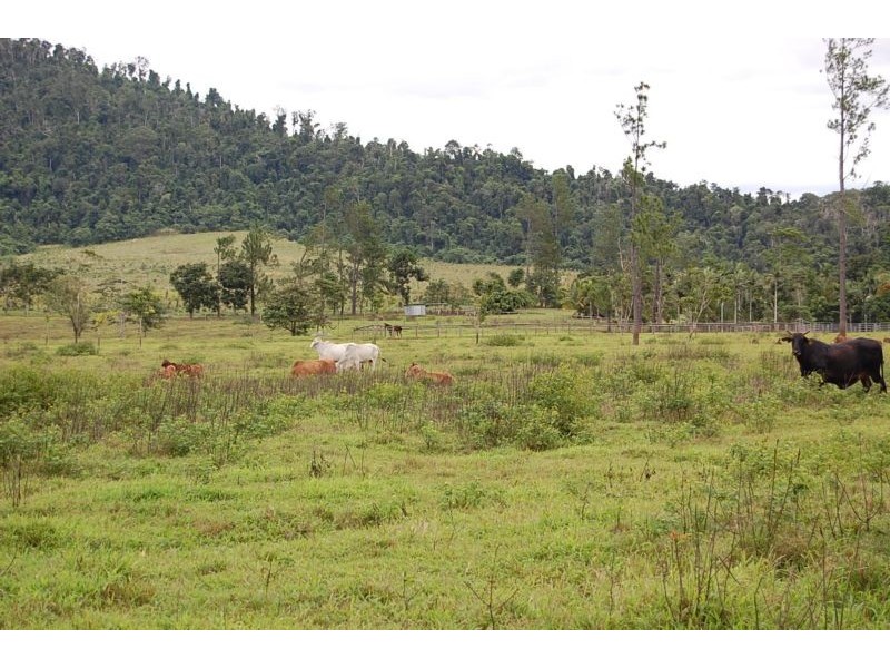 Mena Creek QLD 4871