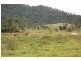 Mena Creek QLD 4871