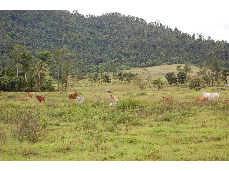 Mena Creek QLD 4871