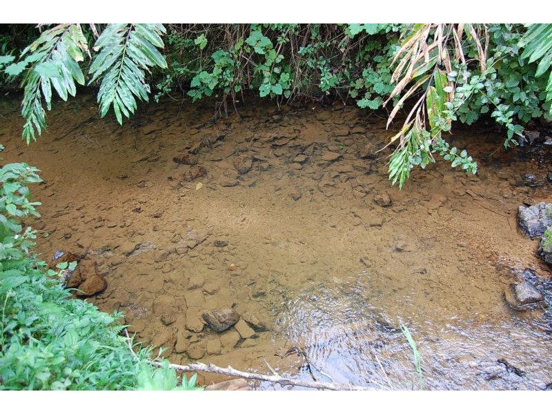 Mena Creek QLD 4871