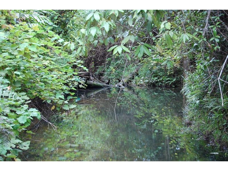 Mena Creek QLD 4871