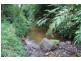 Mena Creek QLD 4871