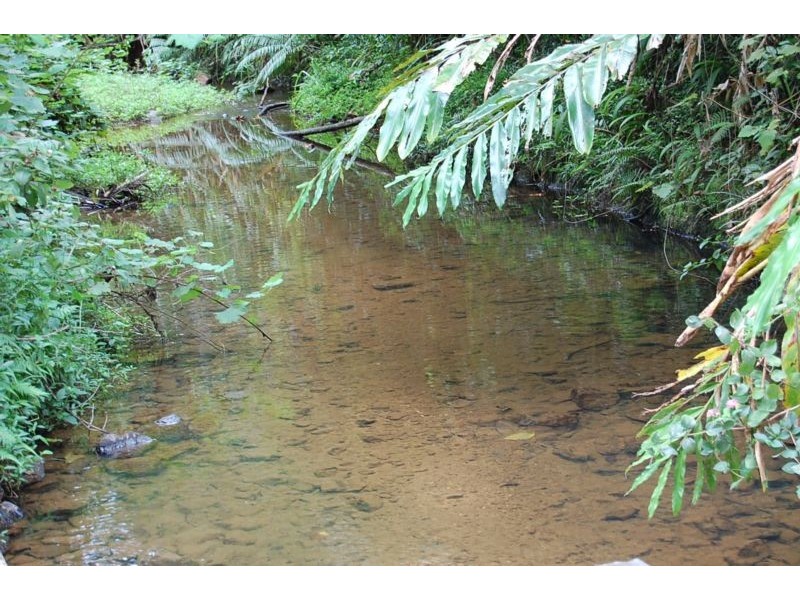 Mena Creek QLD 4871