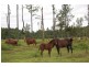 Mena Creek QLD 4871